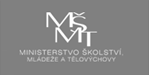 msmt